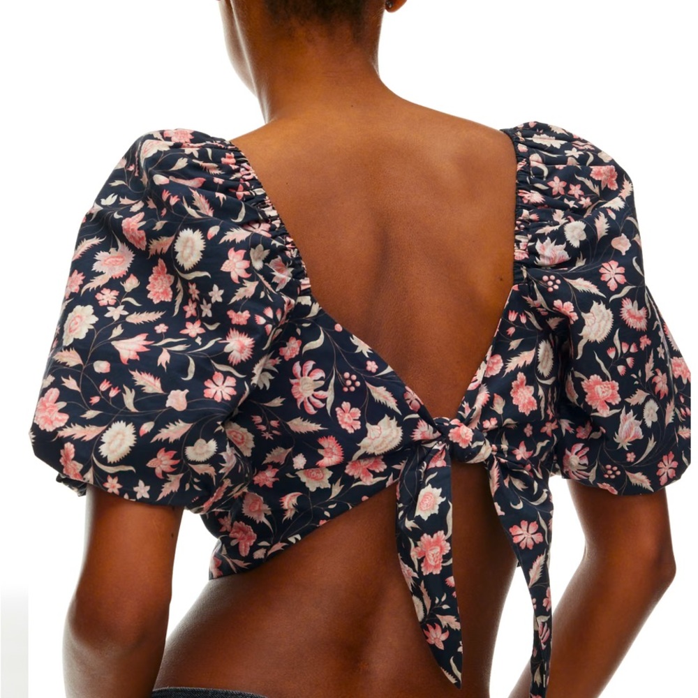 Aritzia Little Moon Lucia Poplin Blouse, crop top, size S